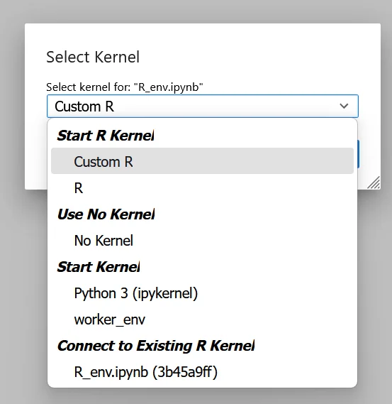 Custom R Env